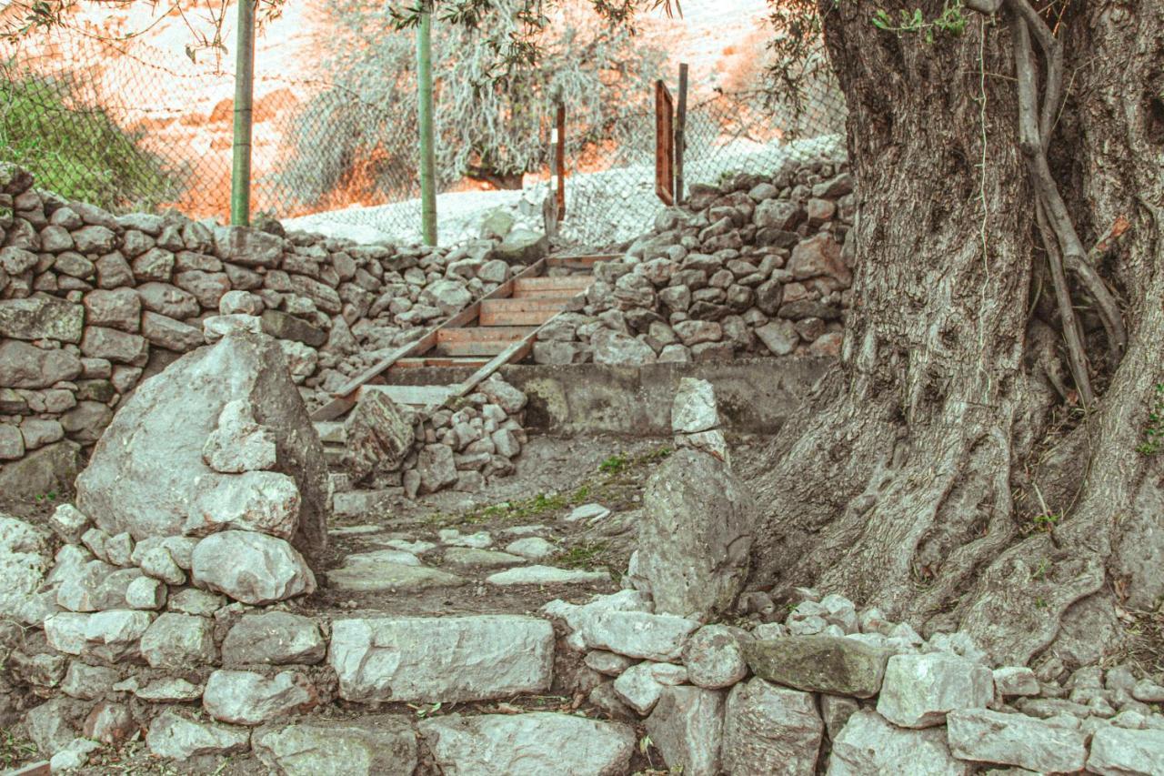 Hobbit Village Дана Экстерьер фото