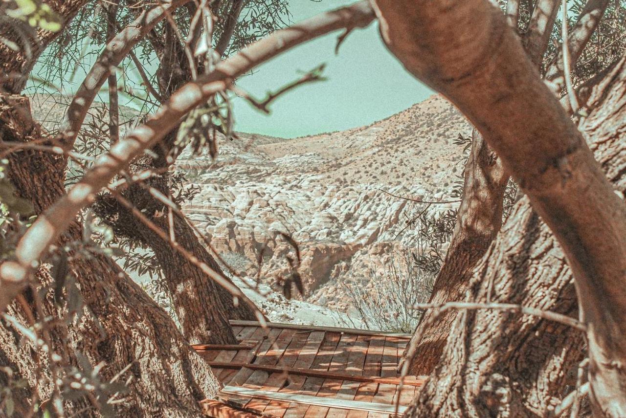 Hobbit Village Дана Экстерьер фото